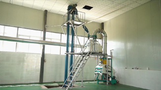 四川德昌核桃，菜籽，茶籽綜合加工生產線